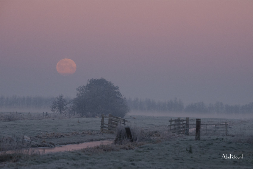 De bloedmaan door jullie gefotografeerd