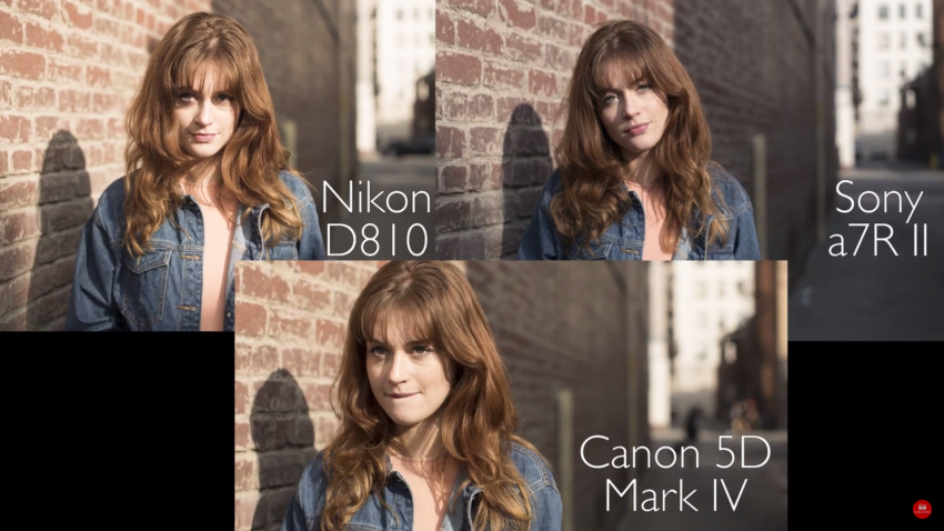 Vergelijkingstest: Nikon D810, Canon 5D Mark IV, Sony A7R II