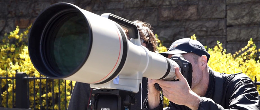 Video: B&H toont Canon EF 1200mm f/5.6L in actie