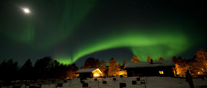 Winter in Noors Lapland - Van Noorderlicht tot walvissafari