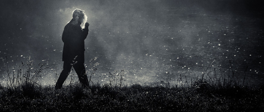 Spotlight - Weekwinnaar #46-2014