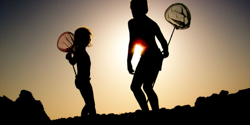 Spotlight - Weekwinnaar #7-2011