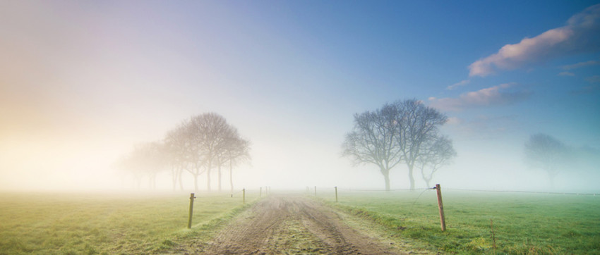 Spotlight - Weekwinnaar #12-2014