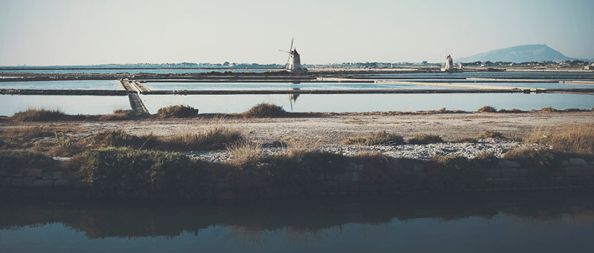 Spotlight - Weekwinnaar #37-2014