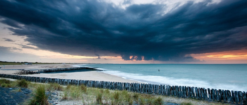 Spotlight - Weekwinnaar #8-2012