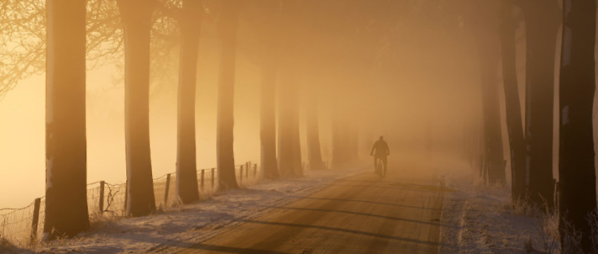 Uitslag fotowedstrijd 'Fietsen'