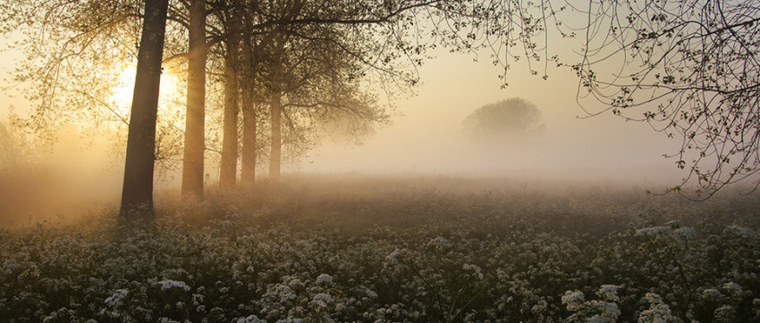 Spotlight - Weekwinnaar #18-2014