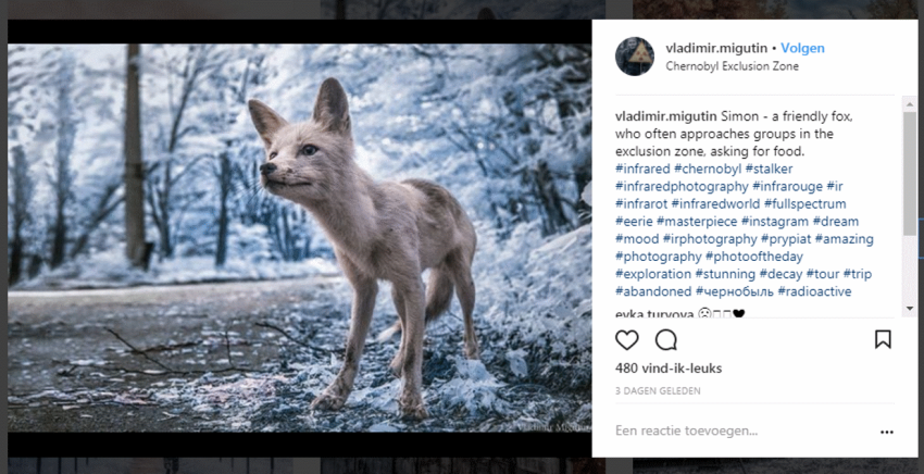 Kijken: Tsjernobyl in infrarood
