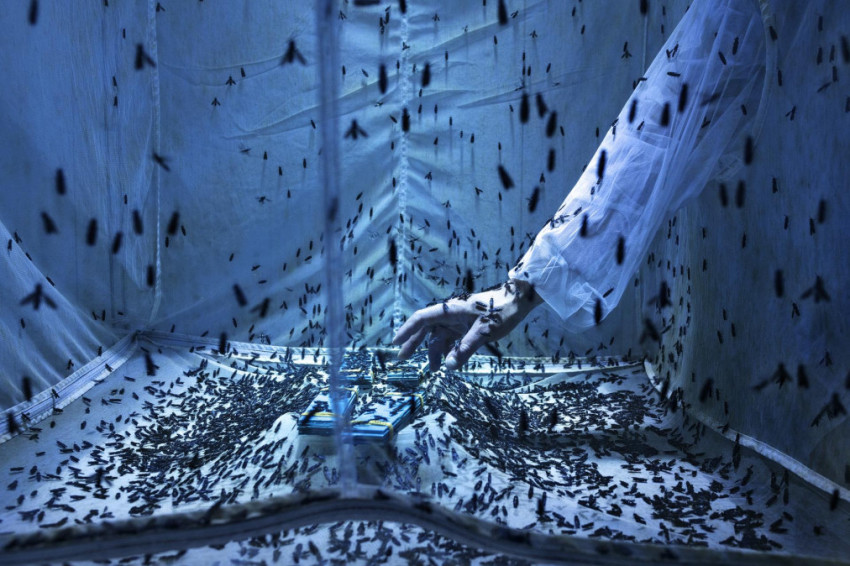 NIKON EN PARTNERS KONDIGEN DE WINNAARS VAN DE ENVIRONMENTAL PHOTOGRAPHER OF THE YEAR 2023 AAN   