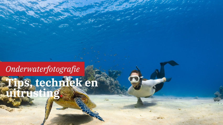 Onderwaterfotografie: tips, techniek en uitrusting