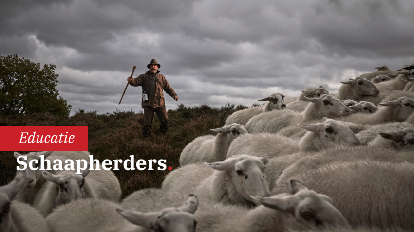 Behind The Shots met Ezra Böhm | Schaapherders