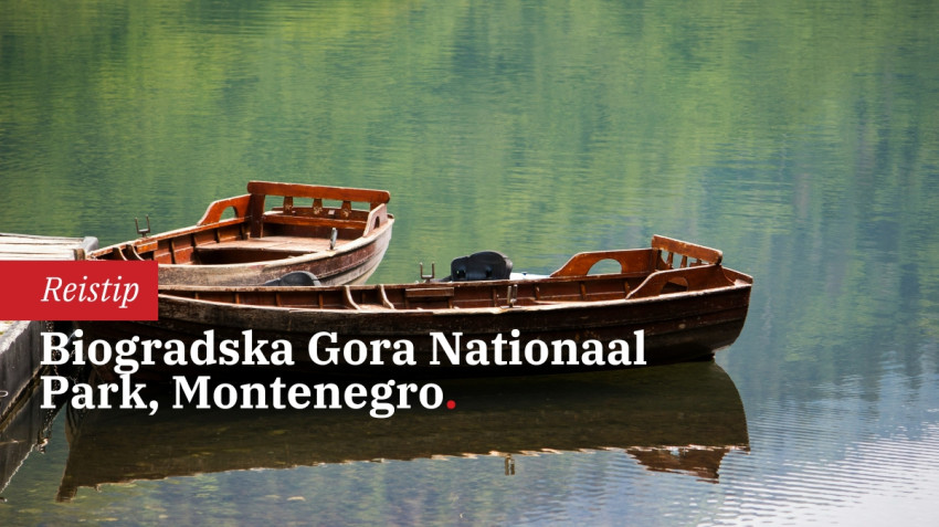 Biogradska Gora Nationaal Park voor fotografen