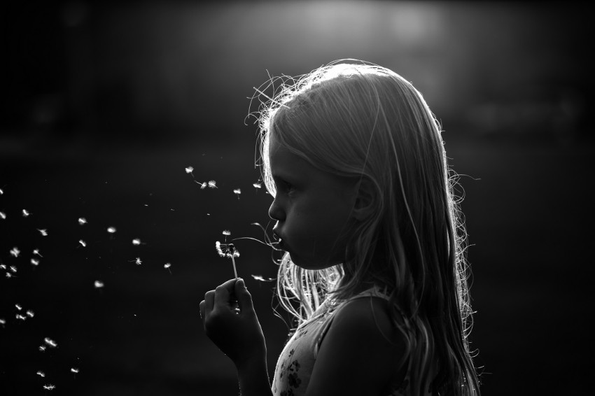 In de spotlight: ‘Some see a weed, some see a wish’ van Christa van Gend