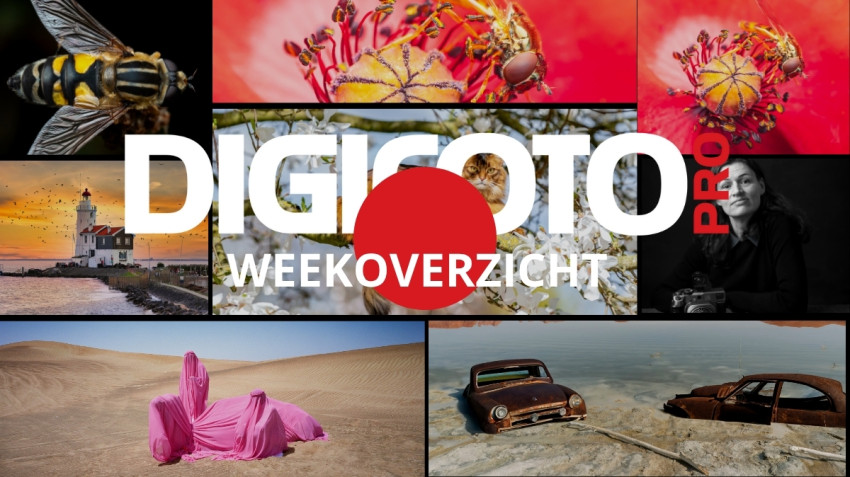 Weekoverzicht 40 op DIGIFOTO Pro