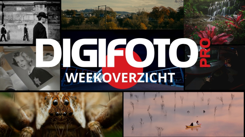 Het weekoverzicht van DIGIFOTO Pro