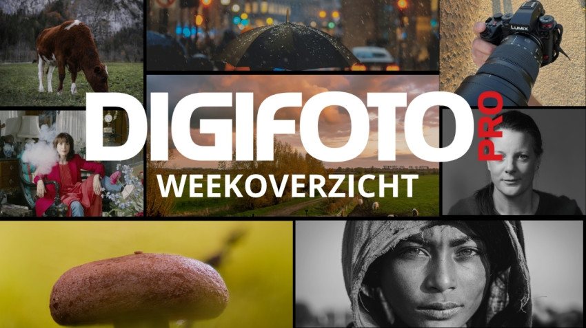 Weekoverzicht 47 op DIGIFOTO Pro