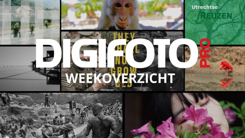 Weekoverzicht