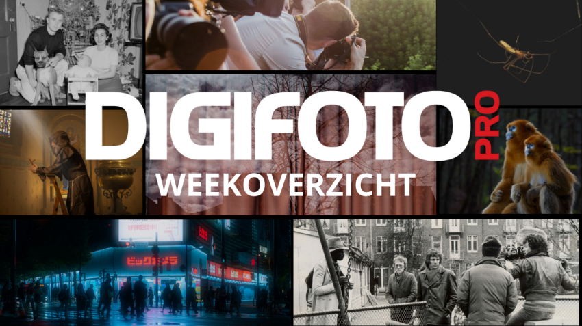 Weekoverzicht 45 op DIGIFOTO Pro