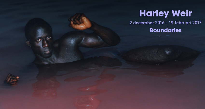Harley Weir exposeert in Foam